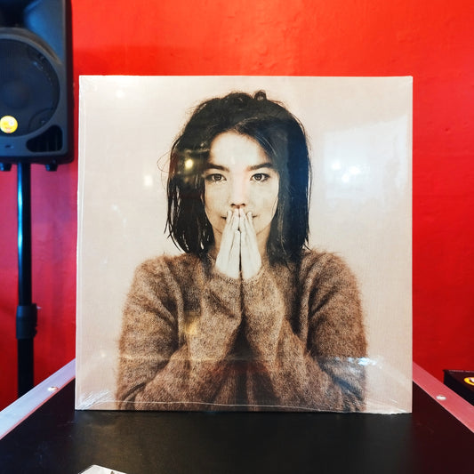 Bjork - Debut